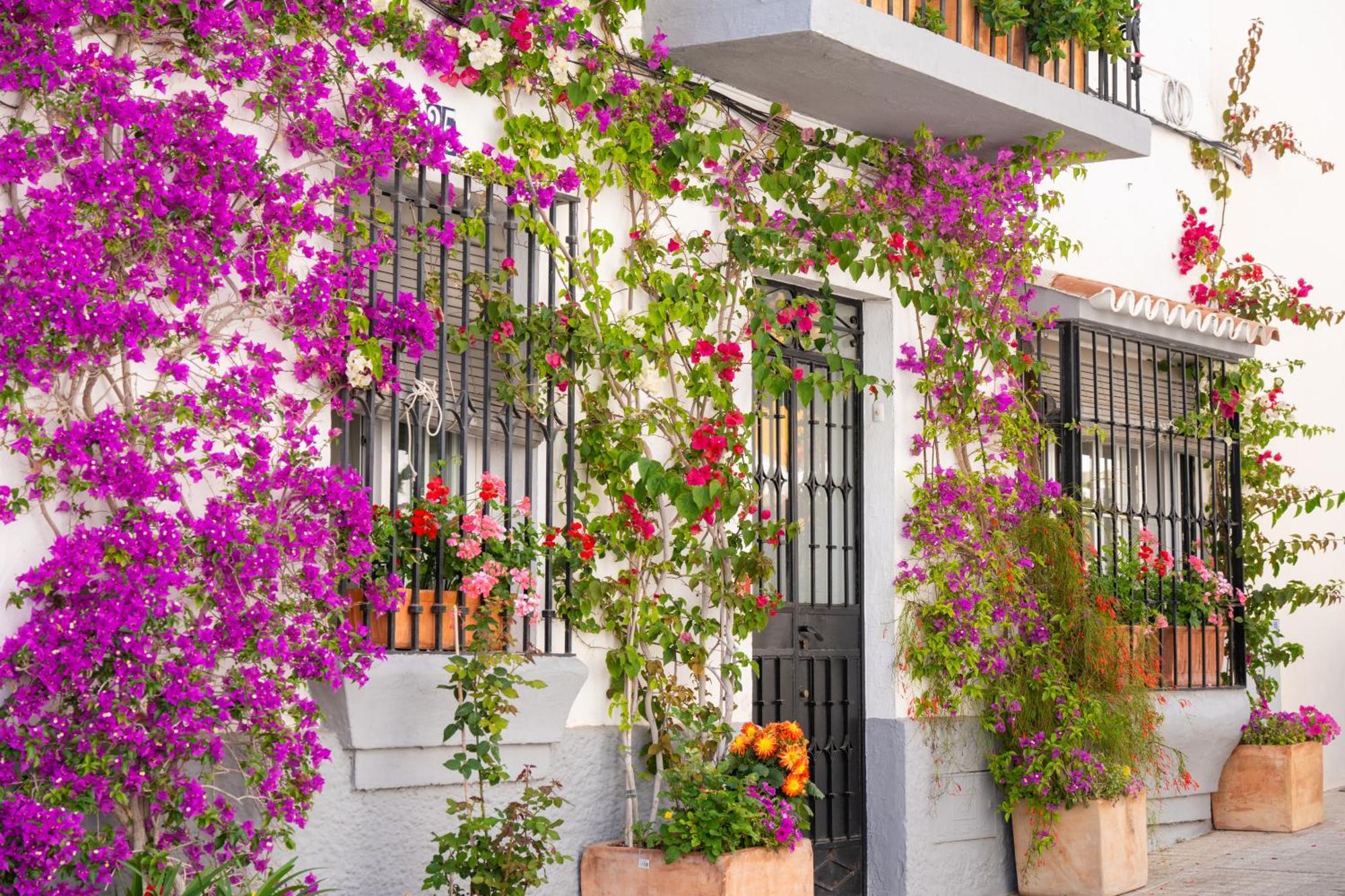 Marbella Luxury Duplex 106 Close To The Beach エクステリア 写真